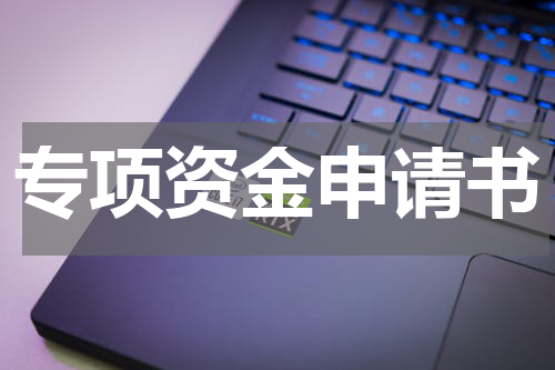 专项资金申请书