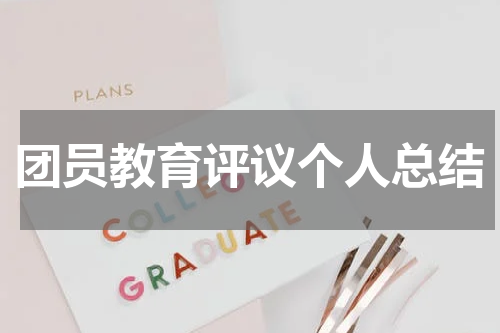 团员教育评议个人总结