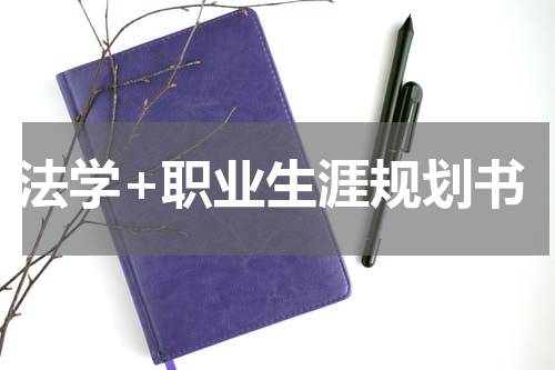 法学+职业生涯规划书