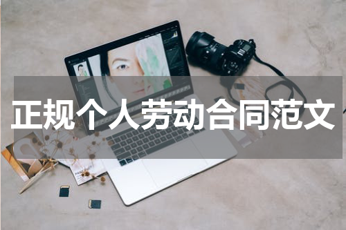 正规个人劳动合同范文