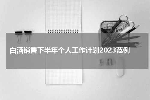 白酒销售下半年个人工作计划2023范例
