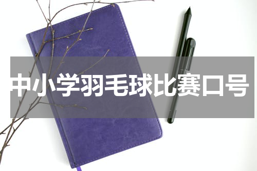 中小学羽毛球比赛口号