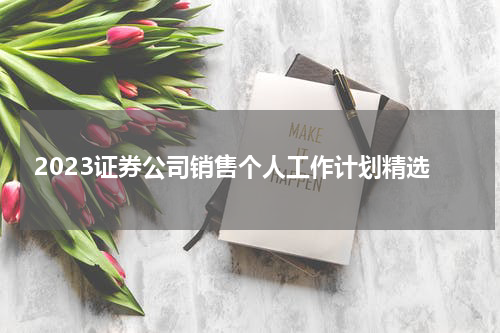 2023证券公司销售个人工作计划精选