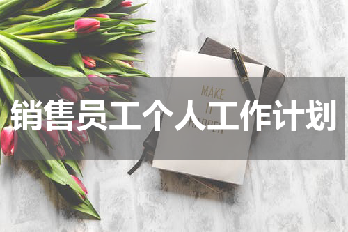 销售员工个人工作计划