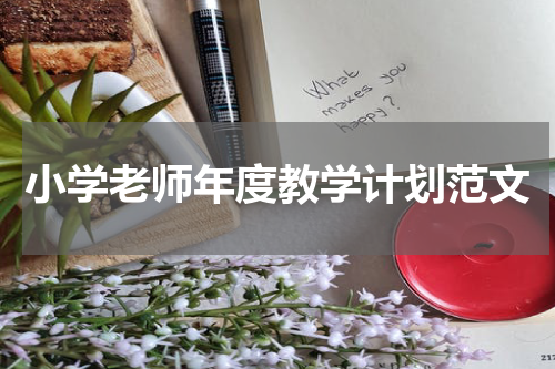 小学老师年度教学计划范文