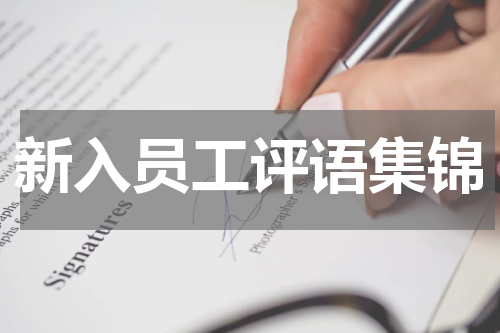 新入员工评语集锦