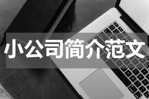 小公司简介范文