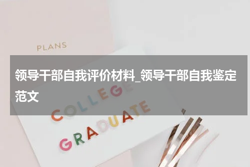领导干部自我评价材料_领导干部自我鉴定范文