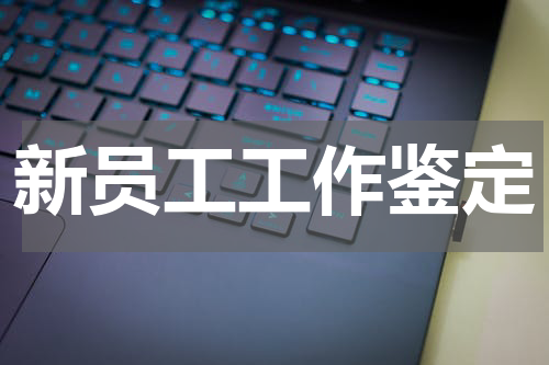新员工工作鉴定