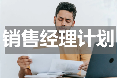 销售经理计划