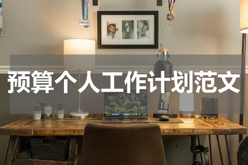 预算个人工作计划范文