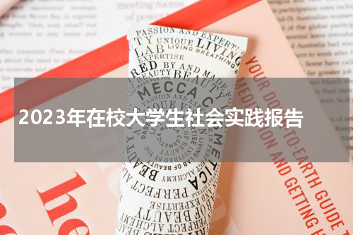 2023年在校大学生社会实践报告