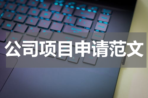 公司项目申请范文
