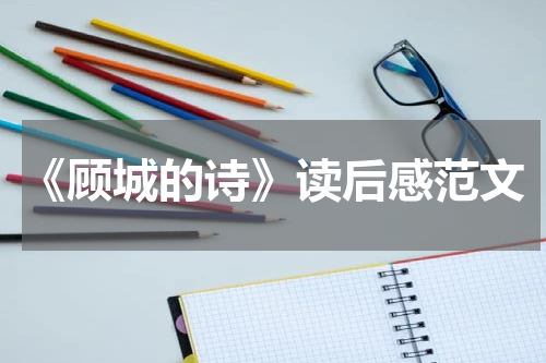 《顾城的诗》读后感范文