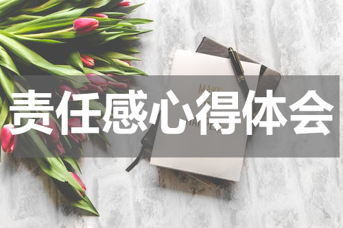 责任感心得体会