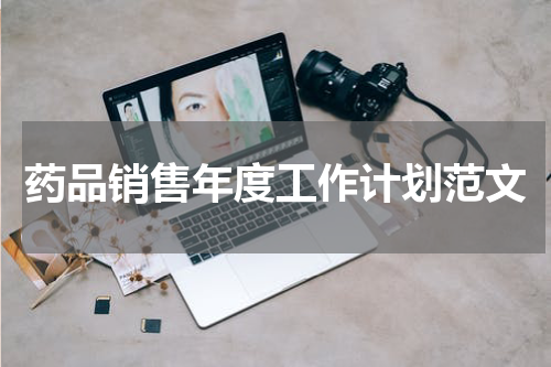 药品销售年度工作计划范文