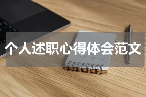 个人述职心得体会范文