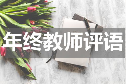 年终教师评语
