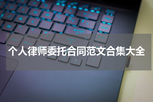 个人律师委托合同范文合集大全