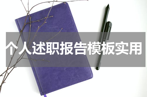 个人述职报告模板实用