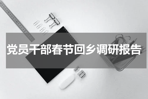 党员干部春节回乡调研报告