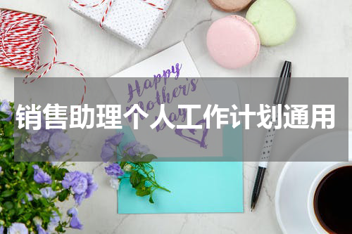销售助理个人工作计划通用