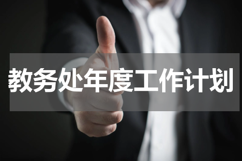 教务处年度工作计划