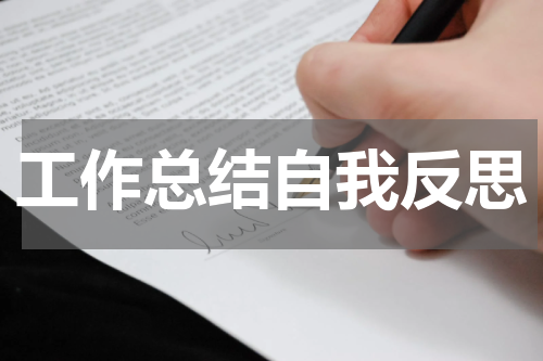 工作总结自我反思