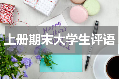 上册期末大学生评语