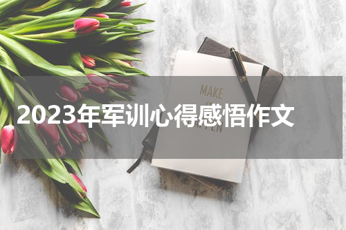 2023年军训心得感悟作文