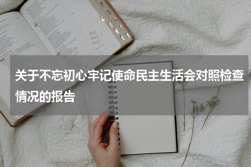 关于不忘初心牢记使命民主生活会对照检查情况的报告