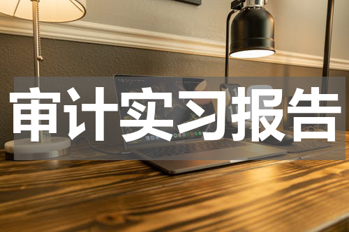 审计实习报告