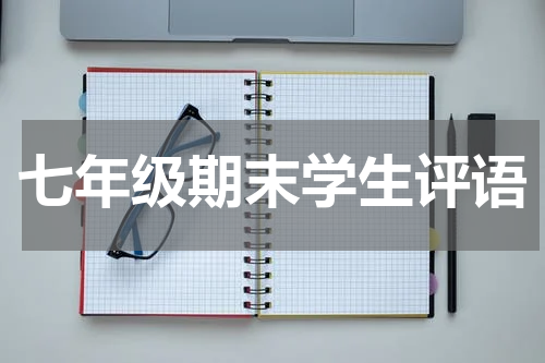 七年级期末学生评语