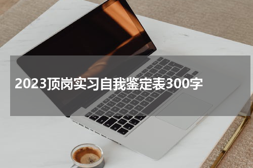 2023顶岗实习自我鉴定表300字