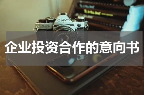 企业投资合作的意向书