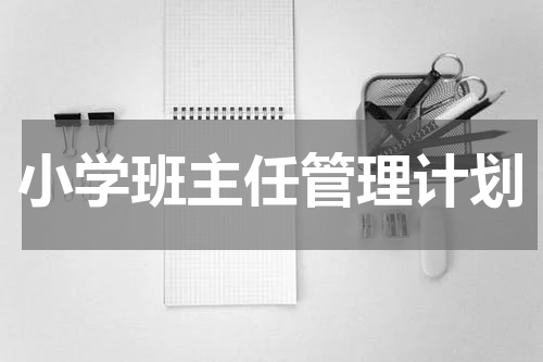 小学班主任管理计划