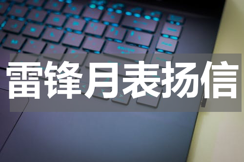 雷锋月表扬信