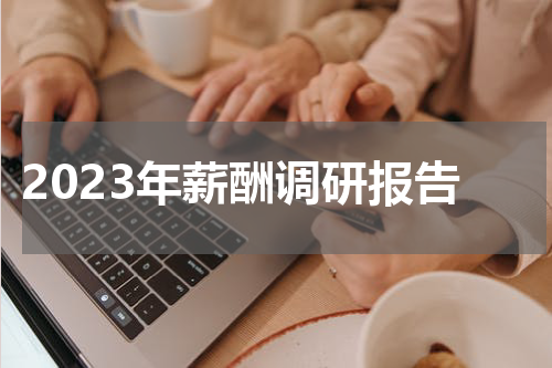 2023年薪酬调研报告