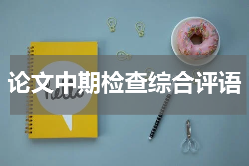 论文中期检查综合评语