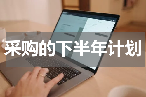 采购的下半年计划