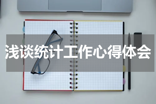 浅谈统计工作心得体会