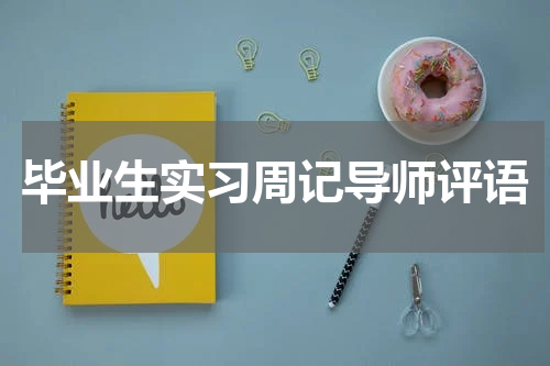 毕业生实习周记导师评语