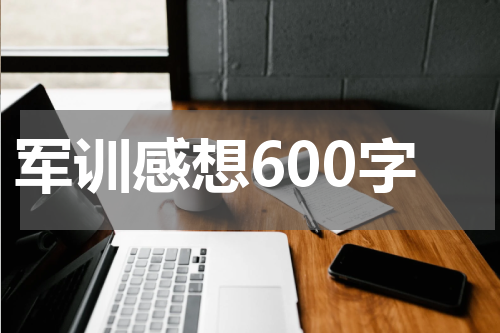 军训感想600字