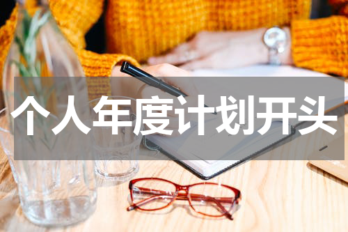 个人年度计划开头