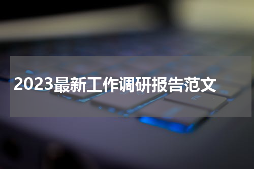 2023最新工作调研报告范文