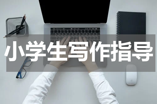 小学生写作指导