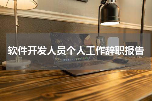 软件开发人员个人工作辞职报告