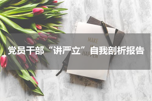 党员干部“讲严立”自我剖析报告