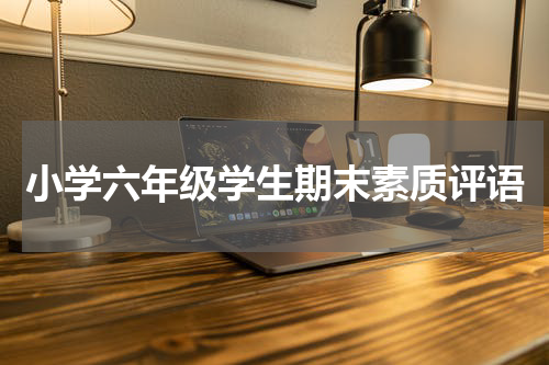 小学六年级学生期末素质评语