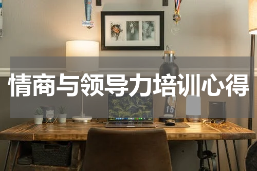 情商与领导力培训心得